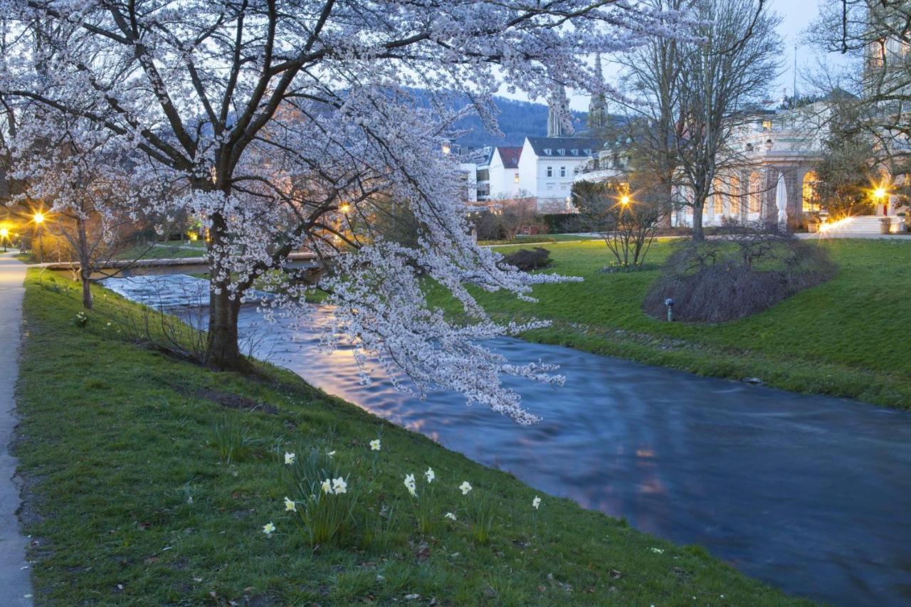 Eckberg Apartment Near City Centre & Nature Baden-Baden Kültér fotó