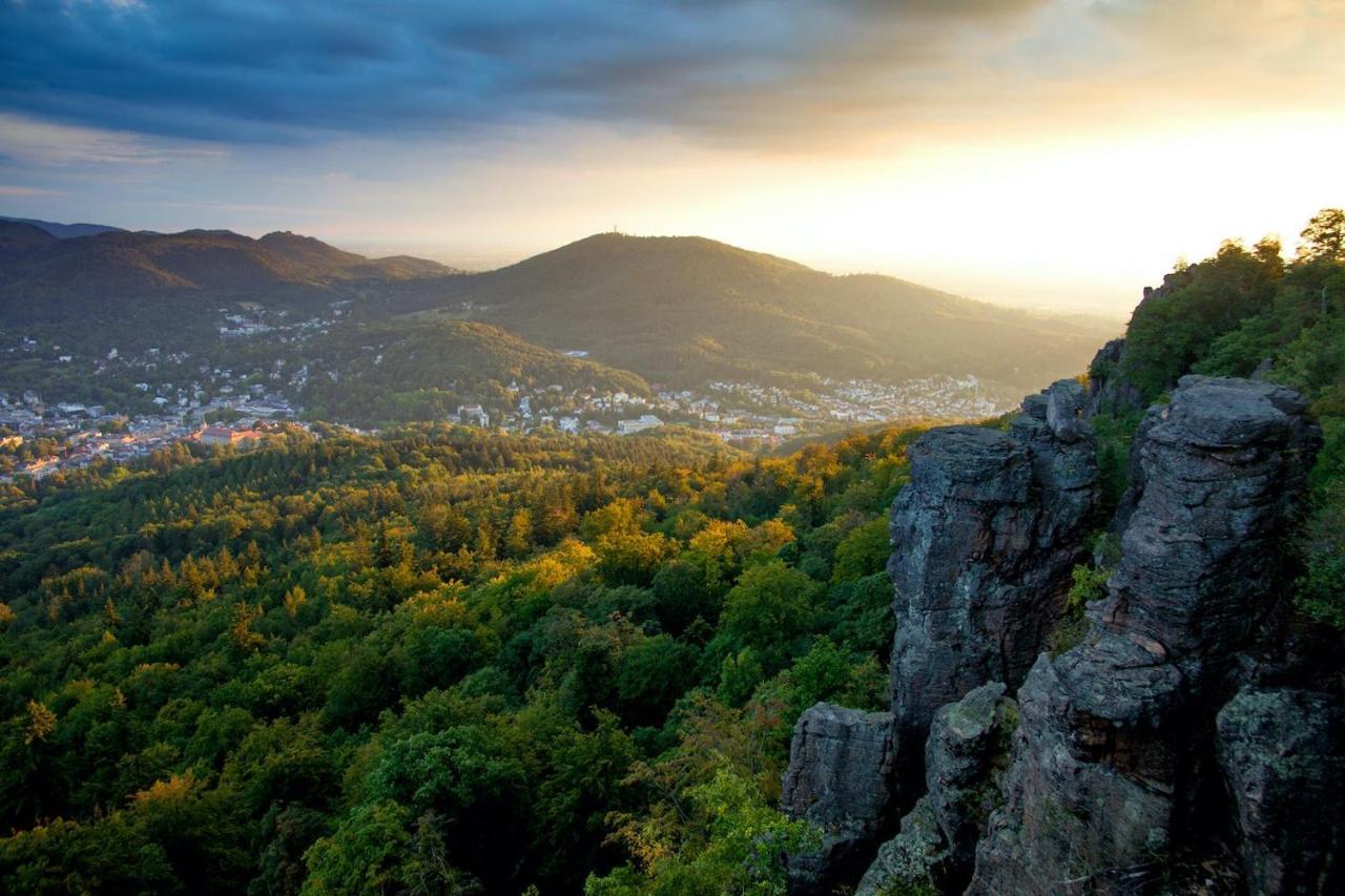 Eckberg Apartment Near City Centre & Nature Baden-Baden Kültér fotó